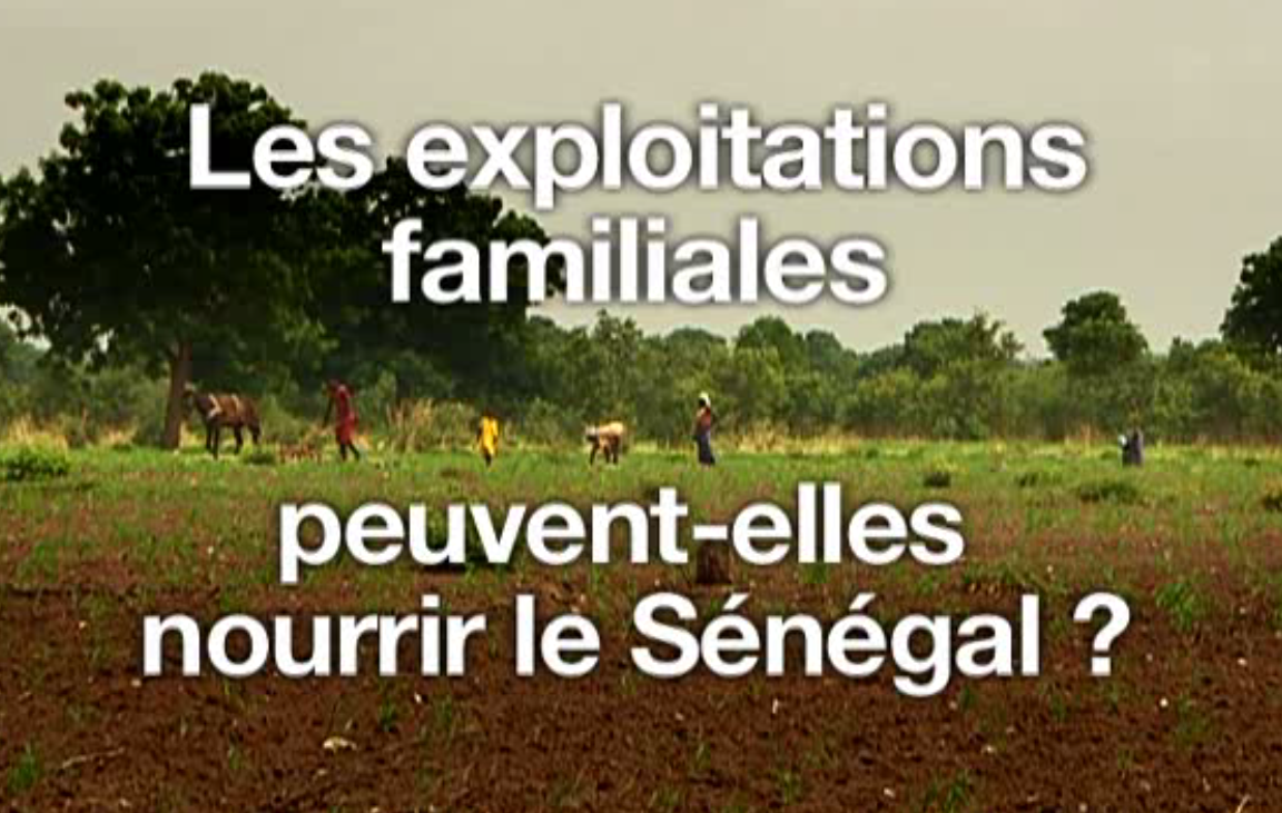 Les EF peuvent-elles nourrir le Sénégal ?
